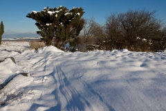 vinter på vrøj